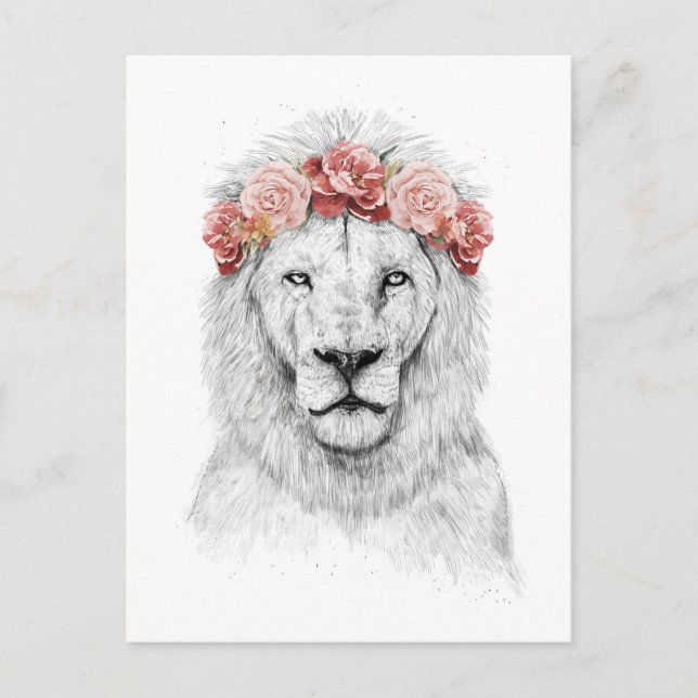 Festival lion postcard (Front)