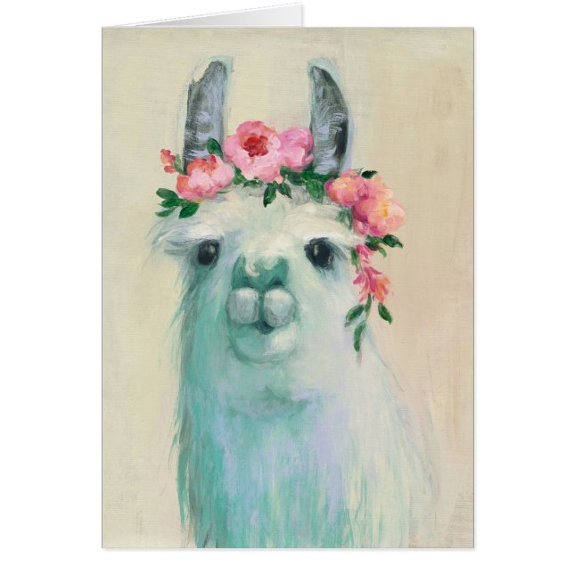 Festival Llama (Front)