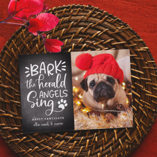 Festive Barks   Holiday Pet Photo Card