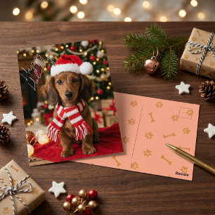 Festive Brown Dachshund Cosy Christmas Pet Postcard