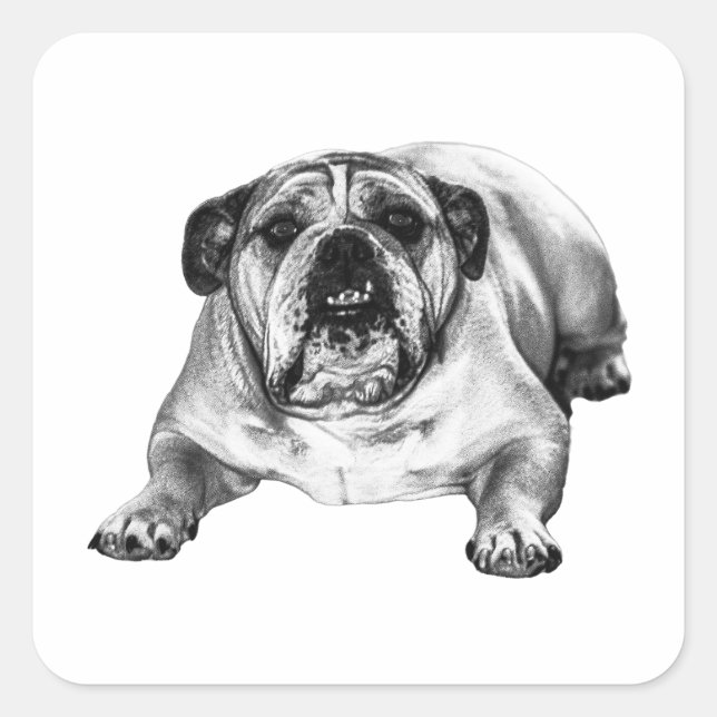 Festive bulldog beam square sticker (Front)