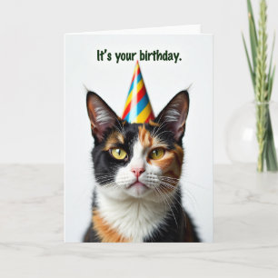 Festive Cat Hat Birthday Card