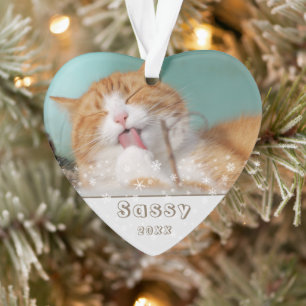 Festive Cat Pet Keepsake Photo Christmas Holiday Ornament