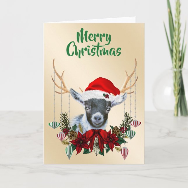 Festive Christmas Pygmy Goat Kid Card (Front)