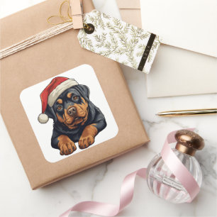 Festive Christmas Rottweiler  Square Sticker