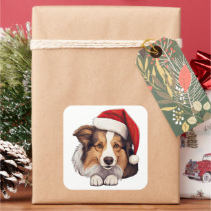 Festive Christmas Shetland Sheepdog Square Sticker