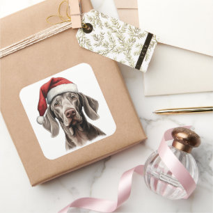 Festive Christmas Weimaraner Square Sticker