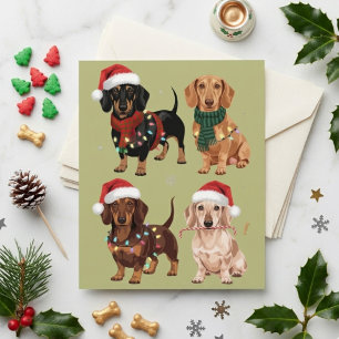 Festive Dachshund Christmas Dogs in Santa Hats Postcard