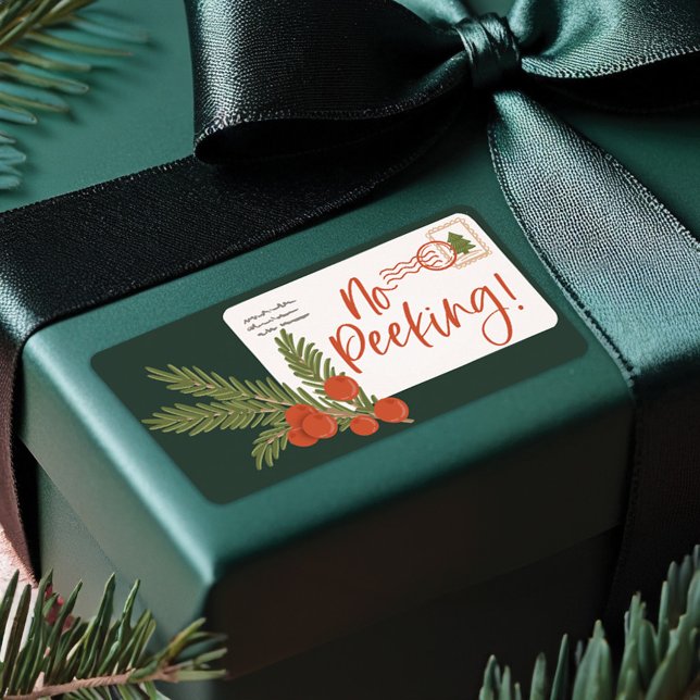 Festive Delivery Postage Envelope To & From (Festive Delivery Postage Envelope To & From Label)