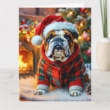 Festive English Bulldog with a Santa Hat
