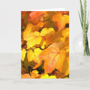Festive Fall Colours Card