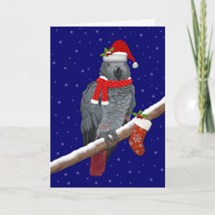 Festive Feathers Card
