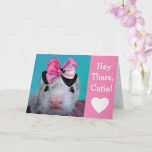 Festive Ferret Birthday Card