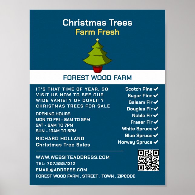Festive Fir Tree Design, Christmas Tree Sales Poster (Front)