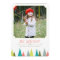 Festive Forest Holiday Photo Cards
