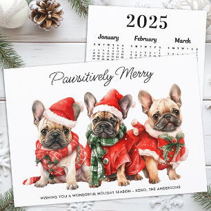Festive French Bulldog Dog 2025 Calendar Christmas Holiday Card