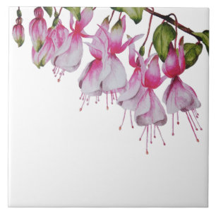 'Festive Fuchsias' on a Ceramic Tile