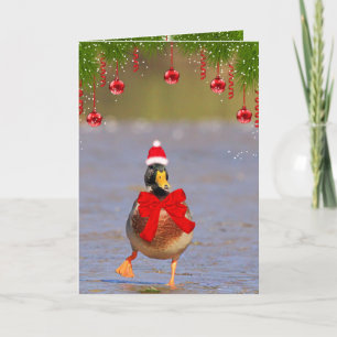 Festive Fun Mallard Duck Christmas Holiday Card