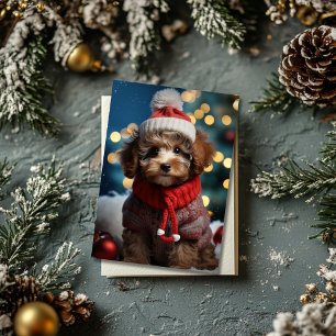 Festive Furry Friend Adorable Christmas Postcard