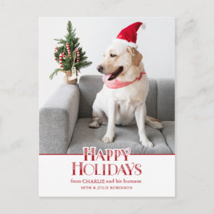 Festive Happy Holidays Typography   Dog Photo Postcard