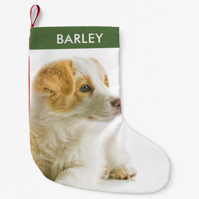 Festive Holiday Dog Photo Pet Picture Small Christmas Stocking (Front)