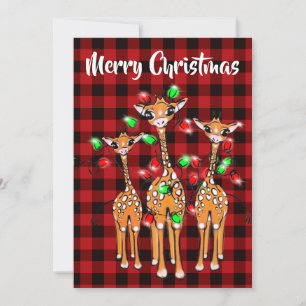 Festive Holiday Giraffe, twinkle light, red plaid  Invitation