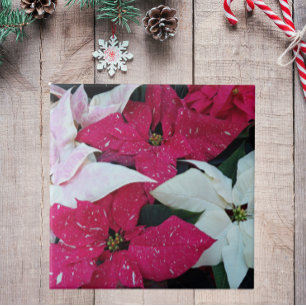 Festive Holiday Poinsettias Floral Ceramic Tile