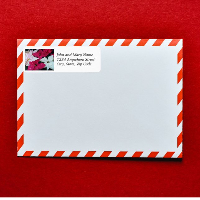 Festive Holiday Poinsettias Floral Return Address Label (In Situ Envelope)