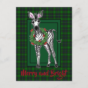 Festive Holiday Zebra drawing green plaid  Postcard