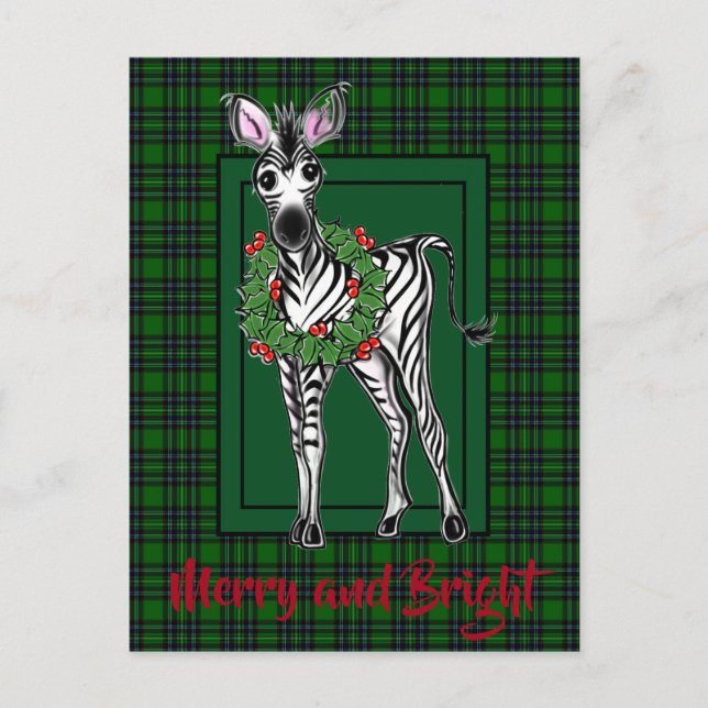 Festive Holiday Zebra drawing green plaid  Postcard (Front)