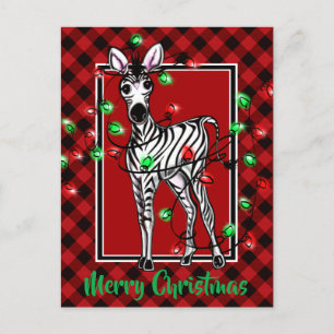 Festive Holiday Zebra Holly wreath red  plaid  Postcard