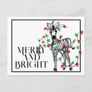 Festive holiday Zebras   red green twinkle lights Postcard