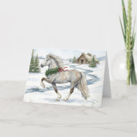 Festive Icelandic Horse in Winter Landscape