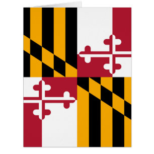 Festive Maryland State Flag
