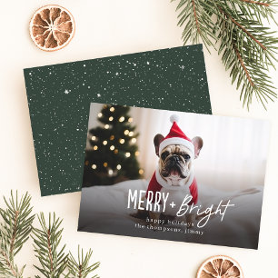 Festive Merry Bright Modern Dog Photo Christmas Holiday Card