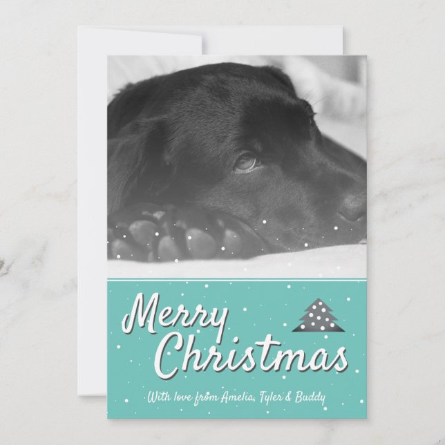 Festive Merry Christmas Snowflake Pet Dog Photo Holiday Card (Front)