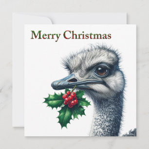 Festive Ostrich Holly & Berries Merry Christmas Holiday Card