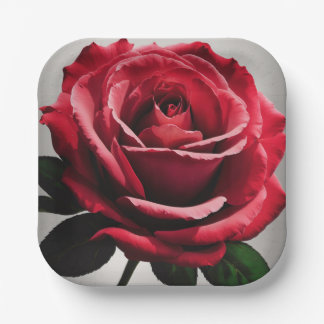 🎉 Festive Party Paper Plates Collection 🍽️