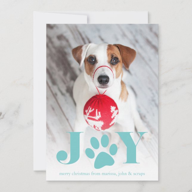 Festive Paws | Pet Photo Holiday Card (Front)