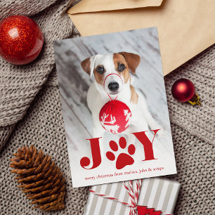 Festive Paws   Pet Photo Holiday Card
