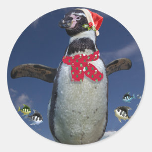Festive Penguin Sticker