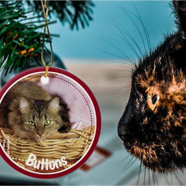 Festive Pet Photo 2021 Christmas   Ceramic Ornamen Ornament (Creator Uploaded)