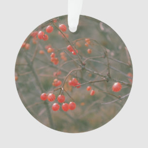 Festive Red Sparkling Berries Nature Photo Ornament