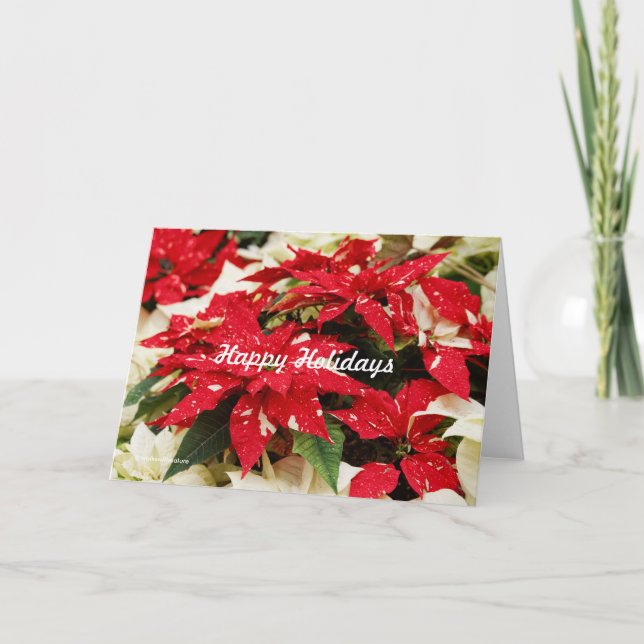 Festive Red White Floral Poinsettia Flowers Holiday Card (Front)