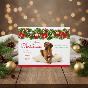 Festive Rhodesian Ridgeback Christmas Postcard