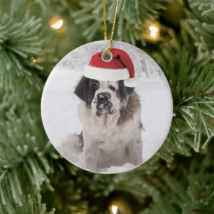 Festive Saint bernard dog with santa hat Ceramic Ornament