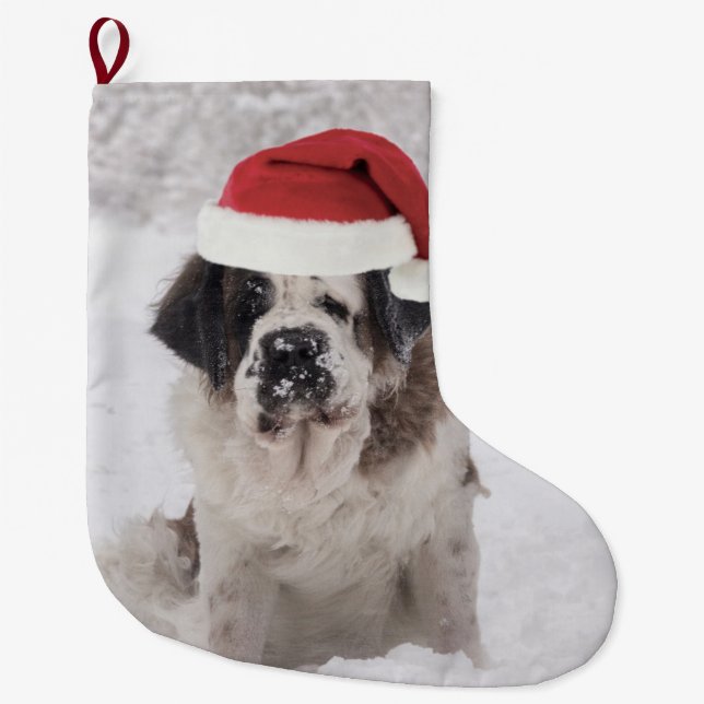 Festive Saint bernard dog with santa hat Large Christmas Stocking (Front)