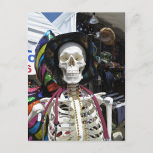 Festive Skeleton Postcard