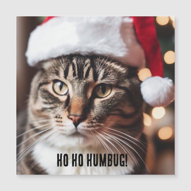 Festive Tabby (Front)