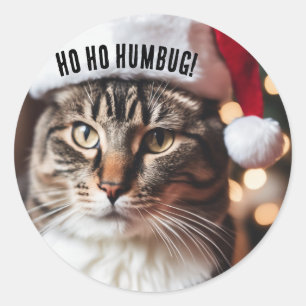 Festive Tabby Classic Round Sticker